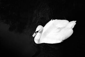 Meditatív séta – csendben a természetben