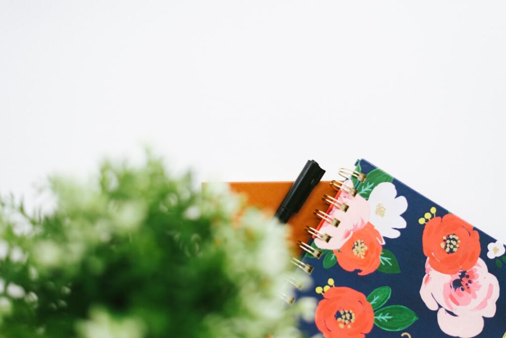 Növények hatása a koncentrációra – irodai zöldek